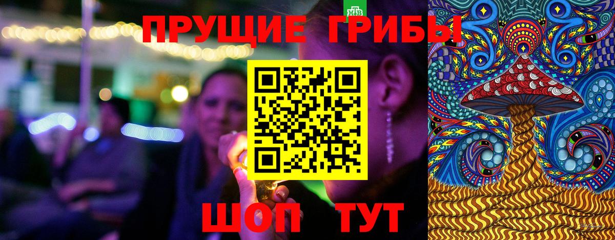 Псилоцибиновые грибы Psilocybine cubensis  Псилоцибиновые грибы Cubensis  Вход с VPN  Саратов 