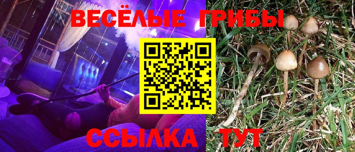 Галлюциногенные грибы мицелий Саратов
